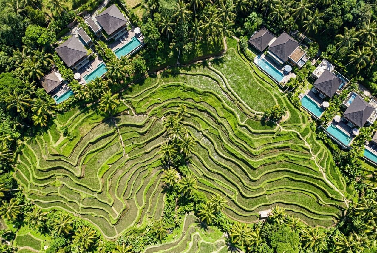 Aerial view of Bali rice terraces with villas and pools